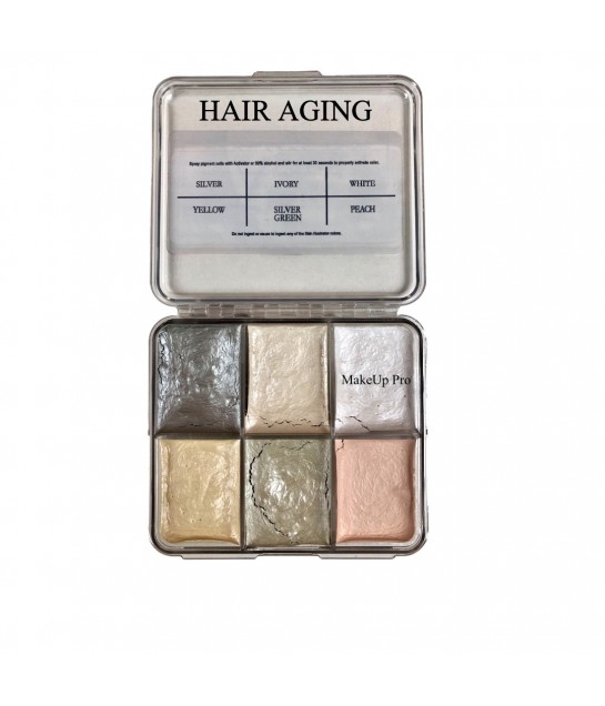 PPI On Set Hair Palette Hair Aging